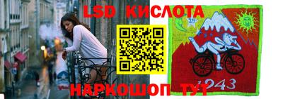 spice Рузаевка