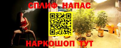 spice Рузаевка