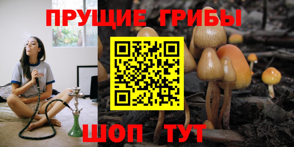 Псилоцибиновые грибы Cubensis Подольск