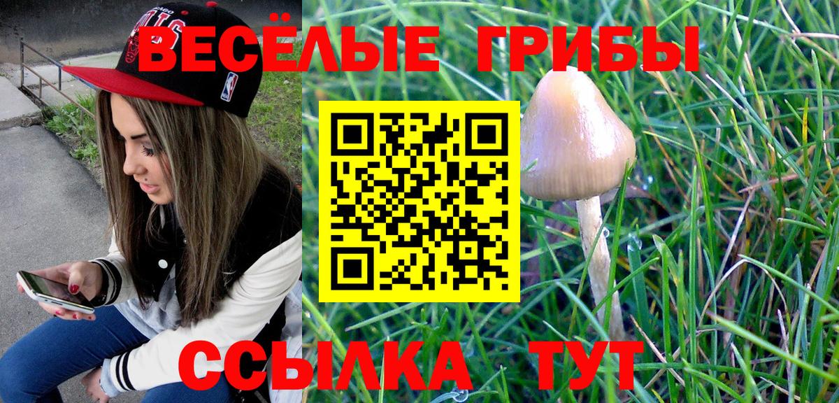как найти закладки  Вход с VPN  Подольск  Галлюциногенные грибы MAGIC MUSHROOMS 